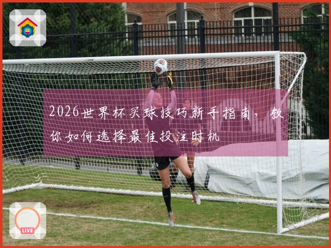 2026世界杯买球技巧新手指南，教你如何选择最佳投注时机