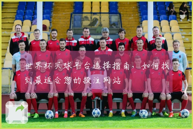 世界杯买球平台选择指南，如何找到最适合您的投注网站