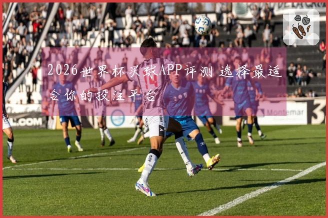 2026世界杯买球APP评测 选择最适合你的投注平台