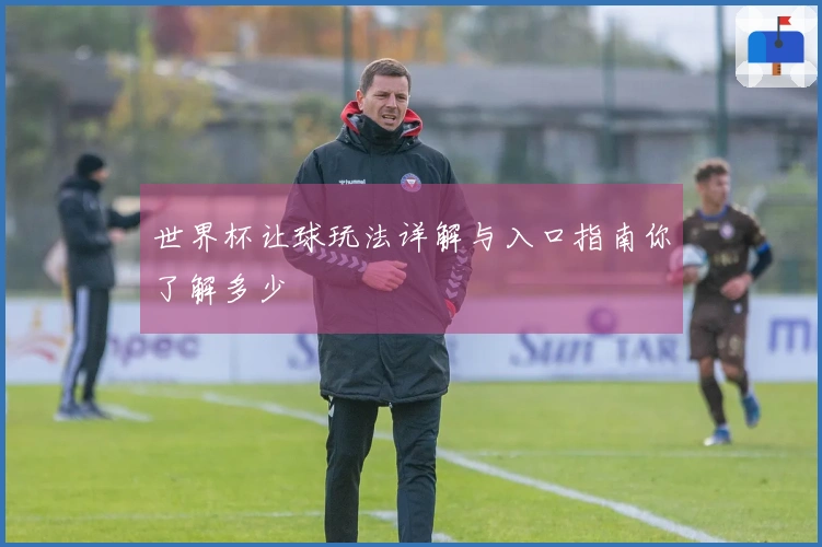 世界杯让球玩法详解与入口指南你了解多少