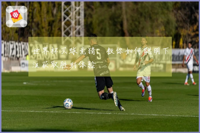 世界杯买球竞猜：教你如何聪明下注获取胜利体验