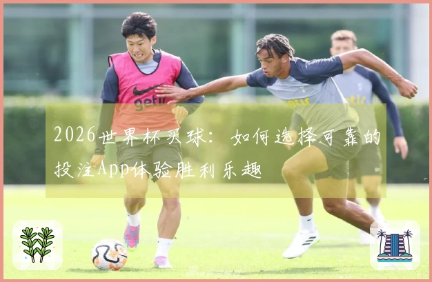 2026世界杯买球：如何选择可靠的投注App体验胜利乐趣