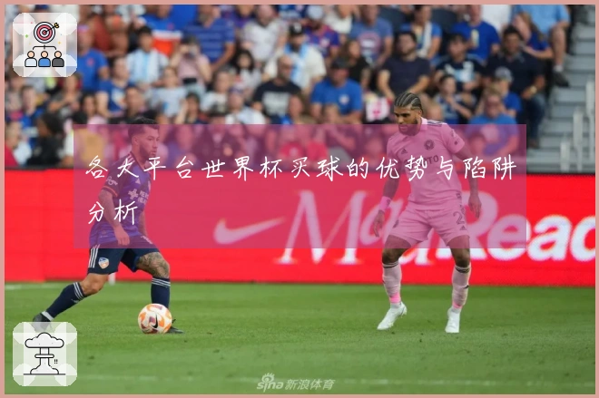 各大平台世界杯买球的优势与陷阱分析
