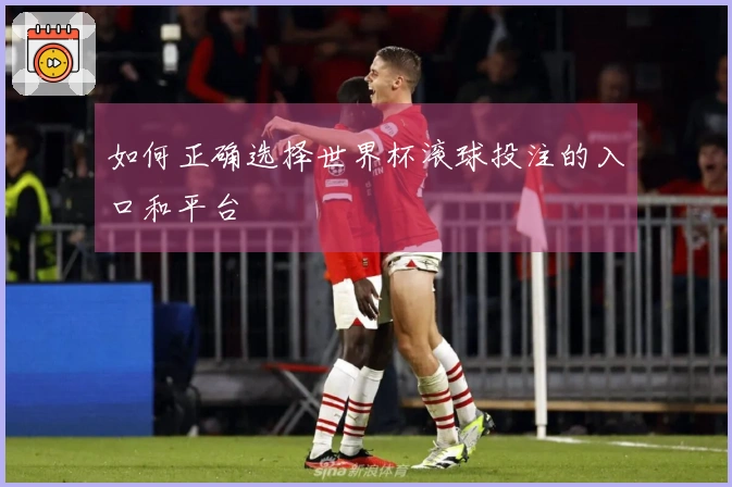如何正确选择世界杯滚球投注的入口和平台