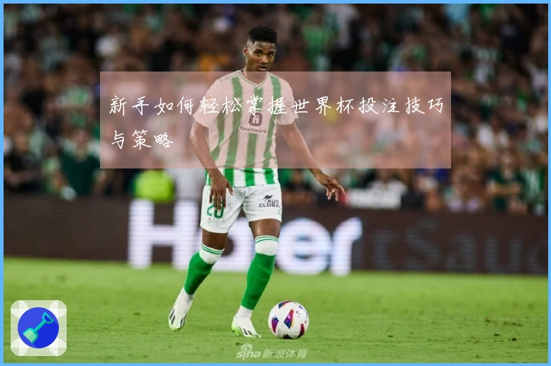 新手如何轻松掌握世界杯投注技巧与策略