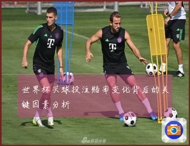 世界杯买球投注赔率变化背后的关键因素分析