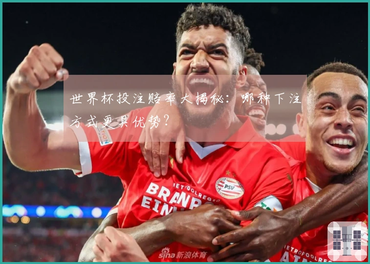 世界杯投注赔率大揭秘：哪种下注方式更具优势？