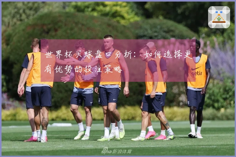 世界杯买球盘口分析：如何选择更有优势的投注策略